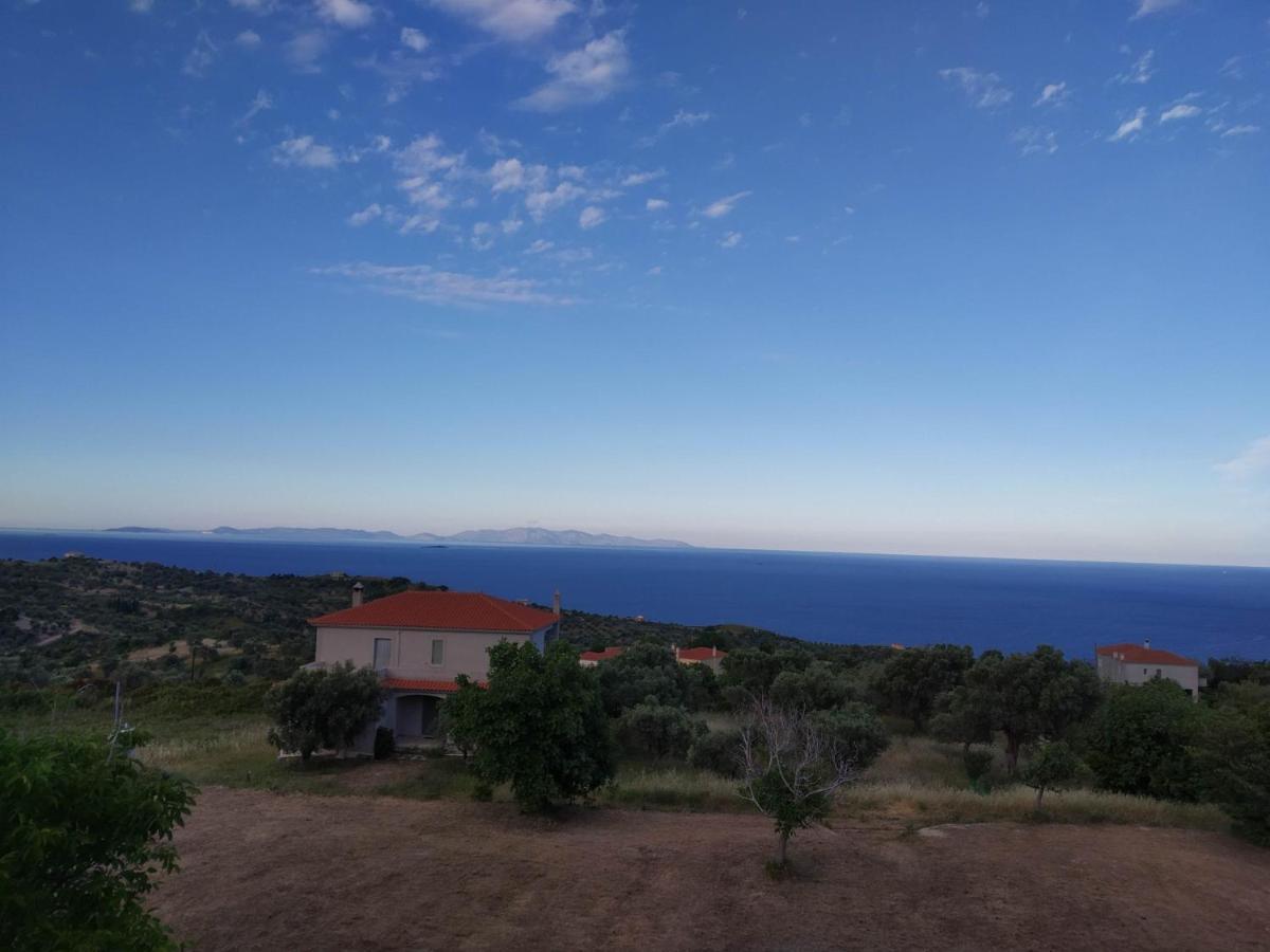 Ellina'S Home - Euboea Island Greece Oxílithos Exteriör bild