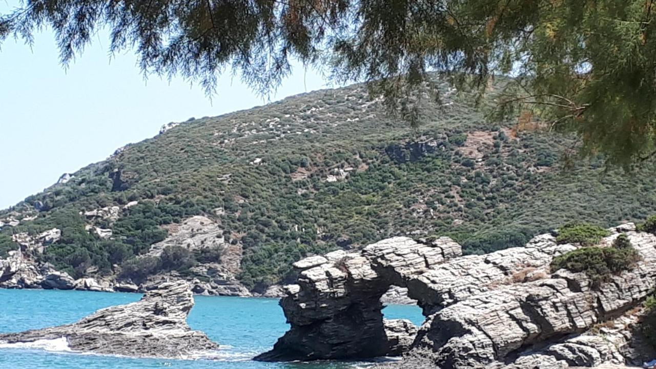 Ellina'S Home - Euboea Island Greece Oxílithos Exteriör bild